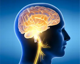 Neurology and Neurosurgery